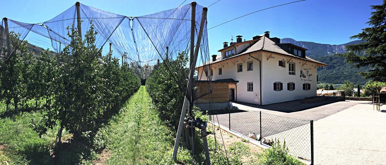 Residence Egger Terlano Kültér fotó